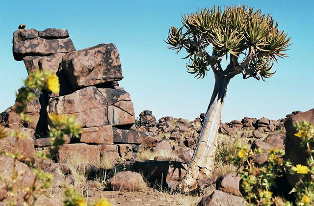 [Image: Namibia012.jpg]