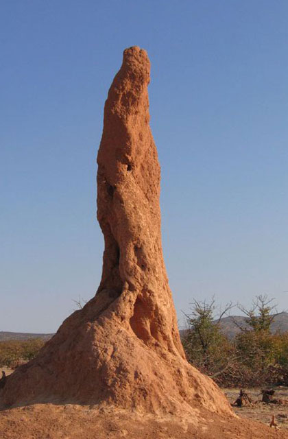 [Image: Namibia026.jpg]