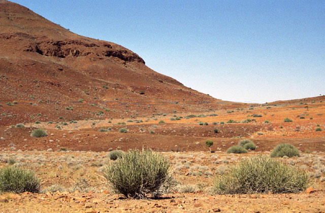 [Image: Namibia057.jpg]