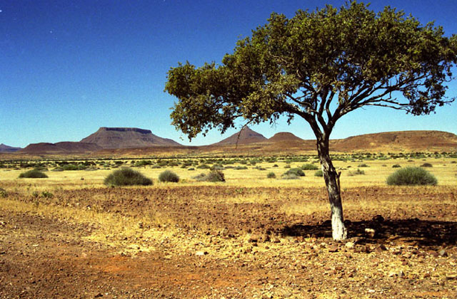 [Image: Namibia058.jpg]