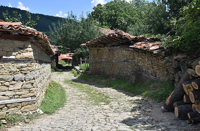 [Obrazek: 2019001.jpg]