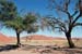 desert du Namib